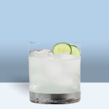 Sour Fizz - Gin and Tonic Cocktail Gift Box - Cocktail Crates