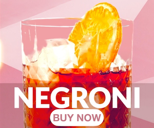 Mastering the Classic Negroni: Ultimate Gins for the perfect cocktail
